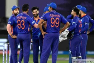 India's T20 sqaud