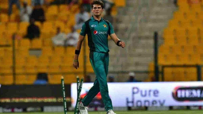 Shaheen Afridi