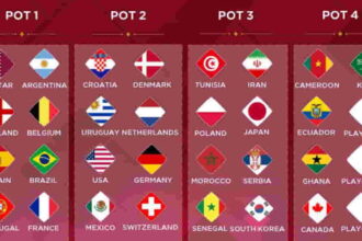 FIFA World Cup 2022 - Qualified Teams