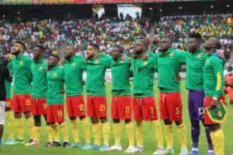 FIFA World Cup 2022: Cameroon Most Promising Players