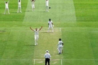 Gabba pitch used for first Test receives 'below average' rating