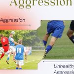 Aggression in Athletes