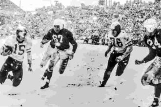 Chicago Cardinals NFL Team