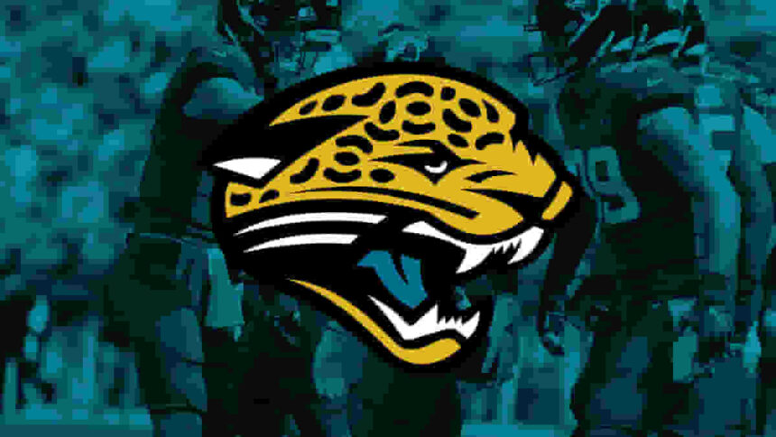 Jacksonville Jaguars - NFL team