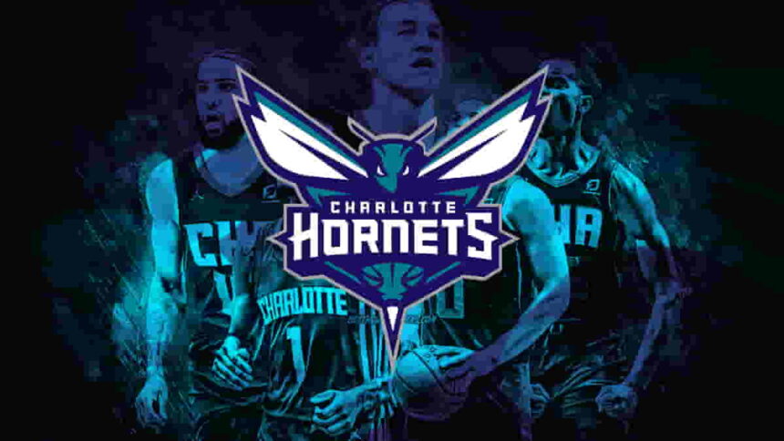 Charlotte Hornets Team profile and analysis