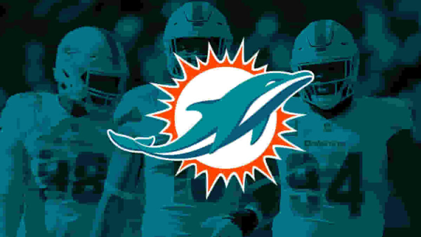 Miami Dolphins - AFC Team Analysis and Profile