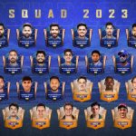 AI and IPL