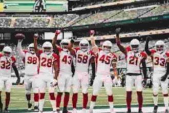 Arizona Cardinals Team History