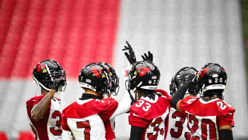 Arizona Cardinals NFL Team