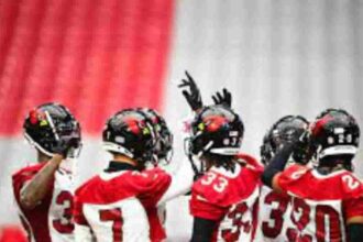Arizona cardinals NFL Team