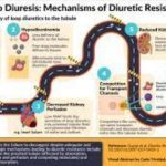 Diuretics - performance enhancing drugs