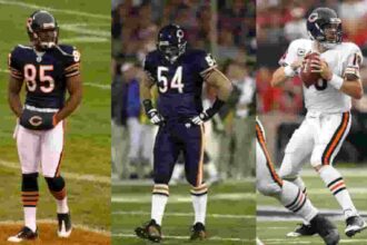 NFC Team Chicago Bears Jersey- Jersey