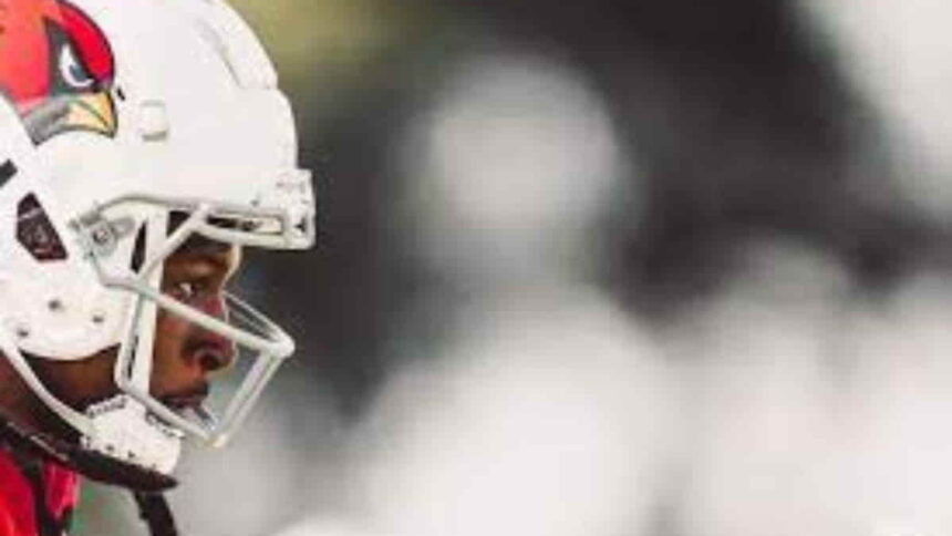 NFL Team Arizona Cardinals