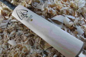 The Comprehensive Guide to Choosing Cricket Bat Size and Weight According to Age and Height
