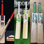 Best Cricket Bat Manufacturers worldwide