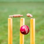 Did You Know What Royal Duck and Types of Ducks in Cricket?