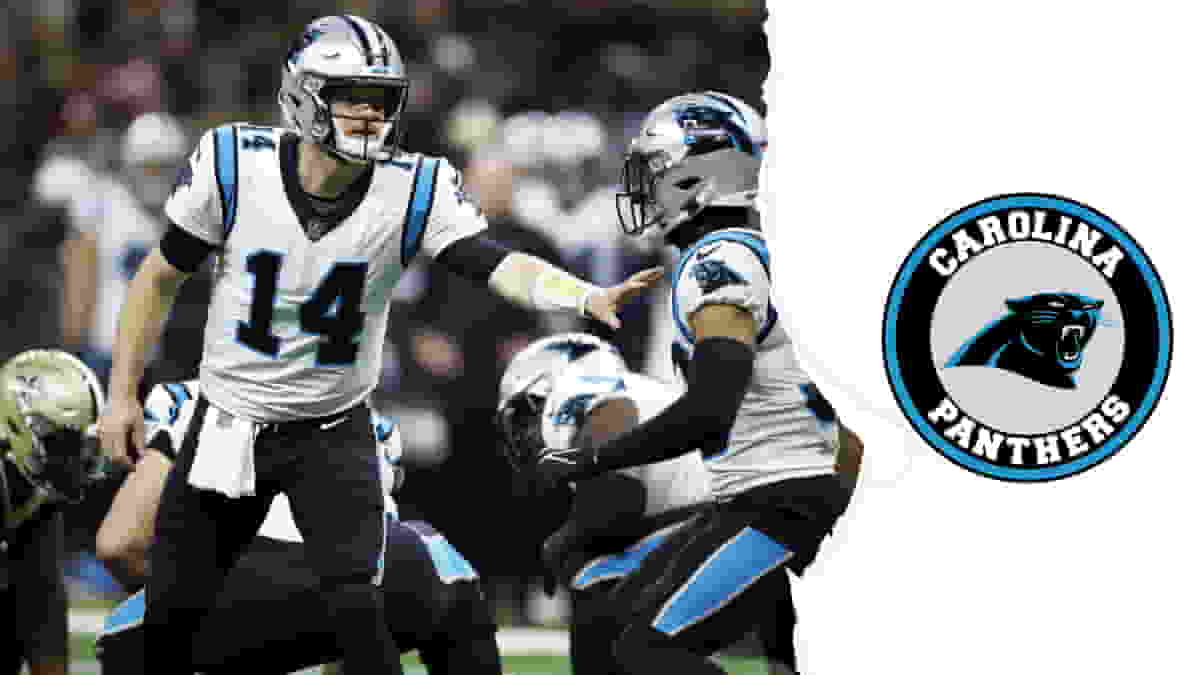 The Carolina Panthers and their culture