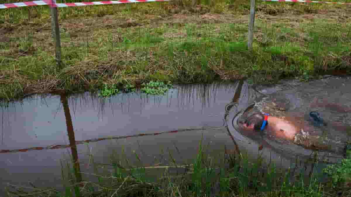 Bog Snorkeling (Photo source: Wired)