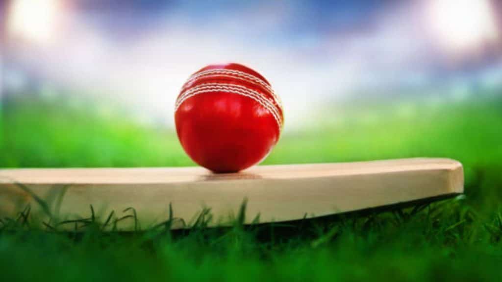 Check out the 15 Fun Facts About the Cricket