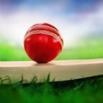 Cricket Bat (Photo Source iStock)