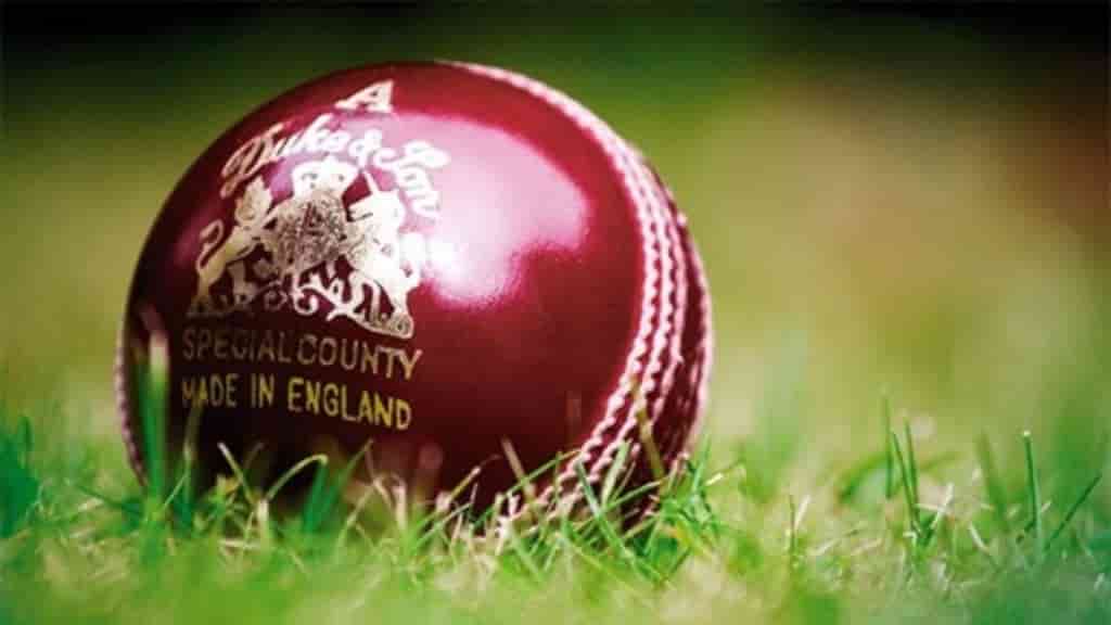 What are the different types of balls used in cricket?
