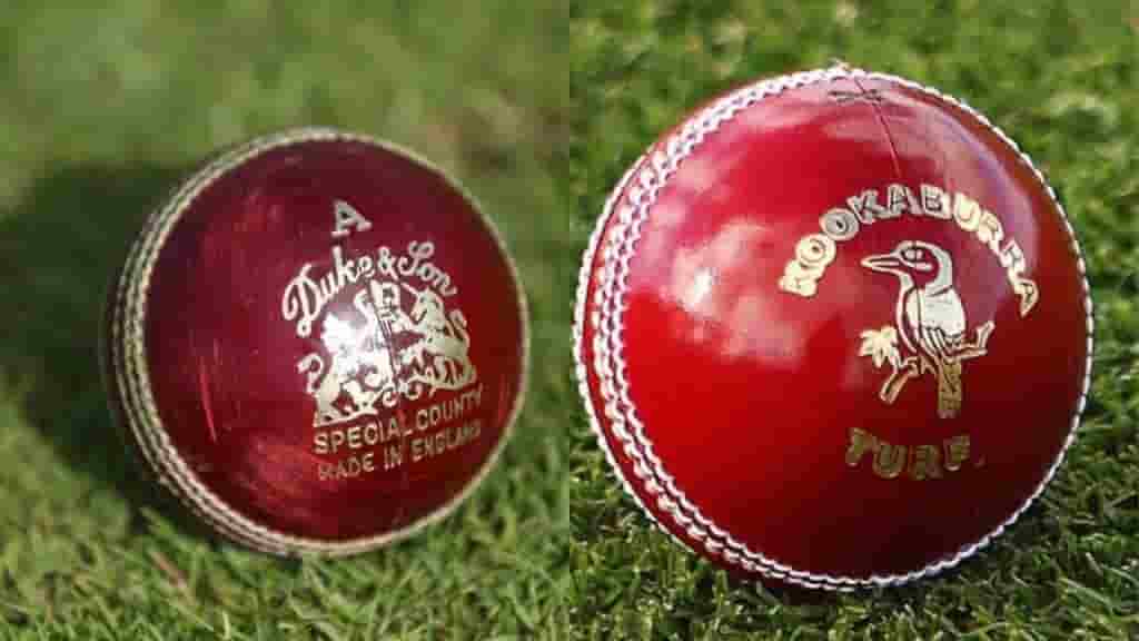 What are the different types of balls used in cricket?