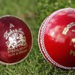 What are the different types of balls used in cricket?