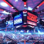 What is the difference between WWE Raw and WWE Smackdown in WWE