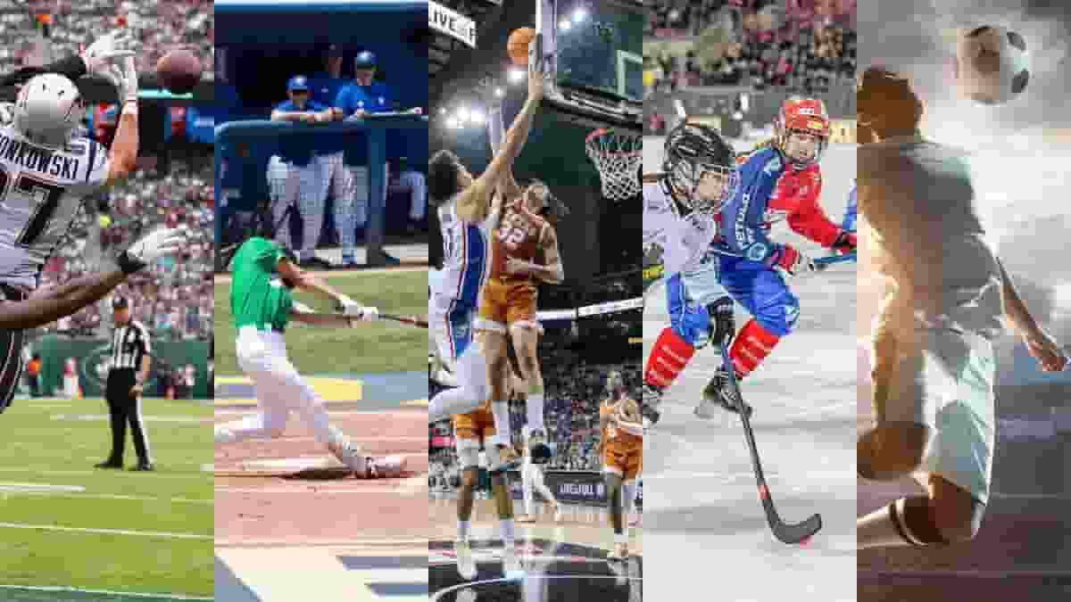 Most viewed sports in US