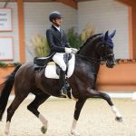 Mumbai's Hriday Chheda to Represent India in Dressage at Asian Games