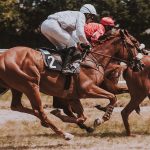 Equestrian: its history, types, benefits, conclusion and more