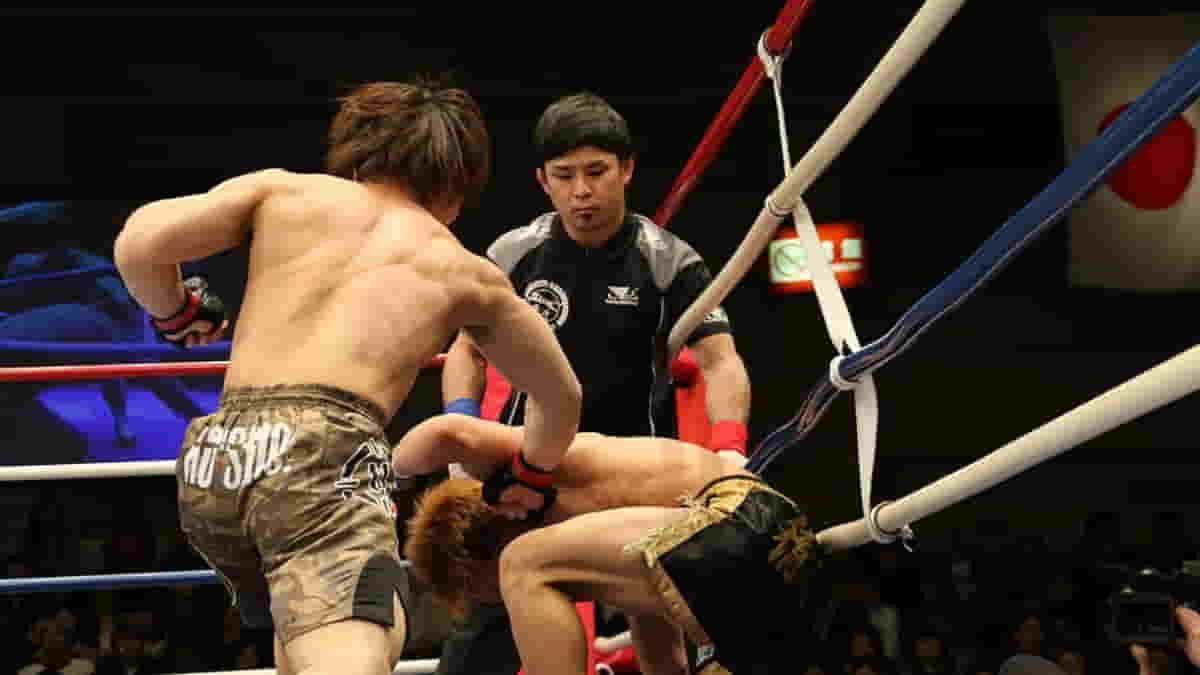 In Which Country MMA Is Popular and The Reason Behind This?