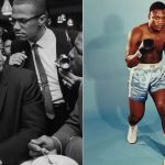 Boxing rivalry unveiled: Muhammad Ali vs Joe Frazier