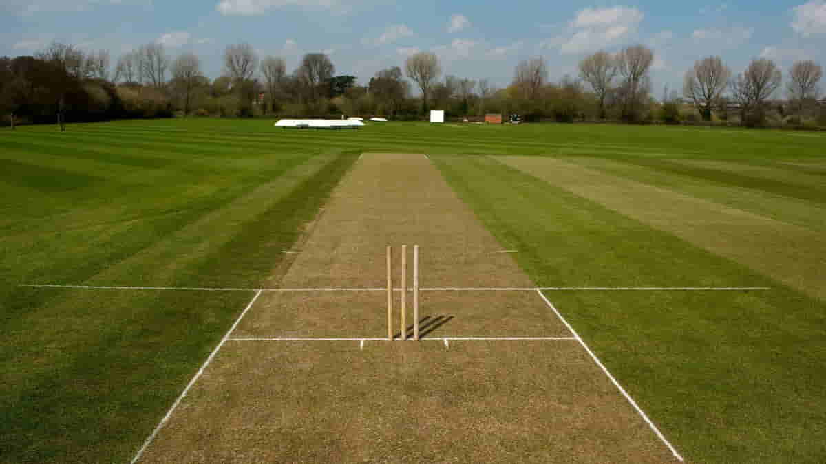 How Are Pitches Made? Know About It's Types And Other Factors
