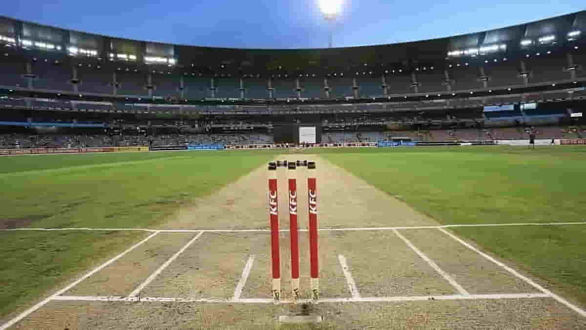 How Are Pitches Made? Know About It's Types And Other Factors