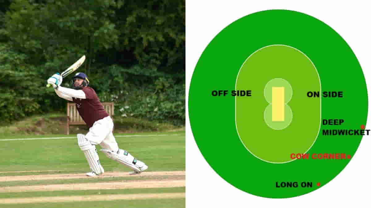 How many fielding positions are there in cricket, what is cow corner?