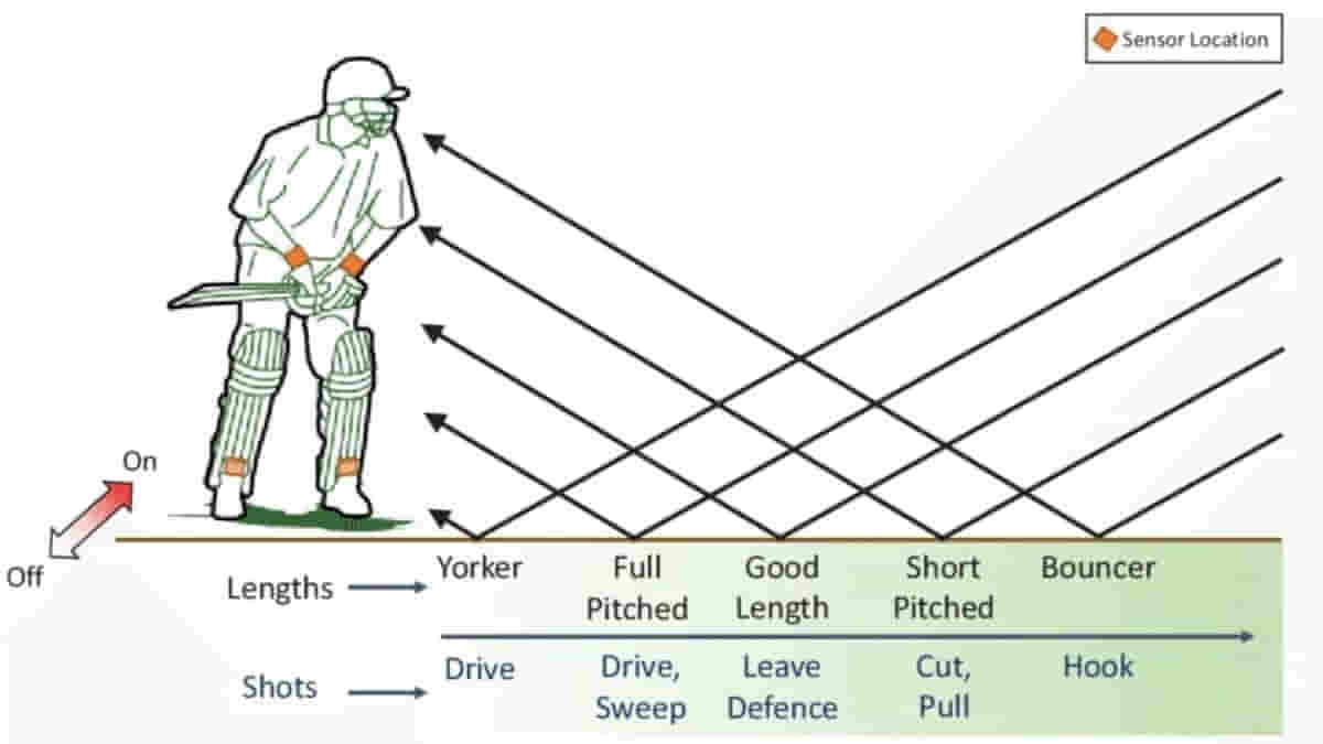 How To Bowl A Yorker: A Detailed Guide On Bowling It