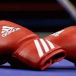 Top 10 Most Destructive Boxers In 2025