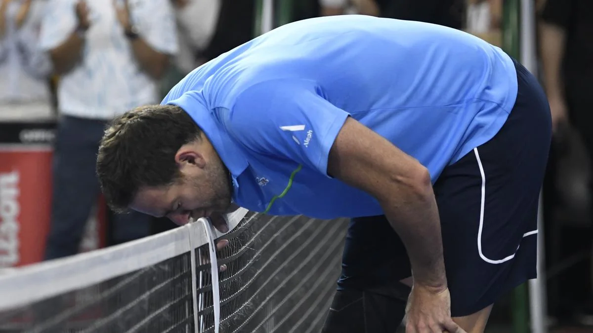 Juan Martin Bids Teary Adiu To Tennis; Beats Novak Djokovic In Farewell Match