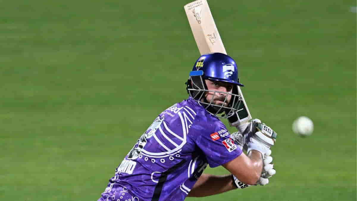 BBL 2025: Tim David Shines With Bat, Smashes 68 Runs Off 38 Balls 