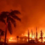 LA Wildfires: LA Sports Teams Pledge $8 Million For Wildfire Relief