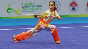 Wushu: The Art, Sport, And Discipline