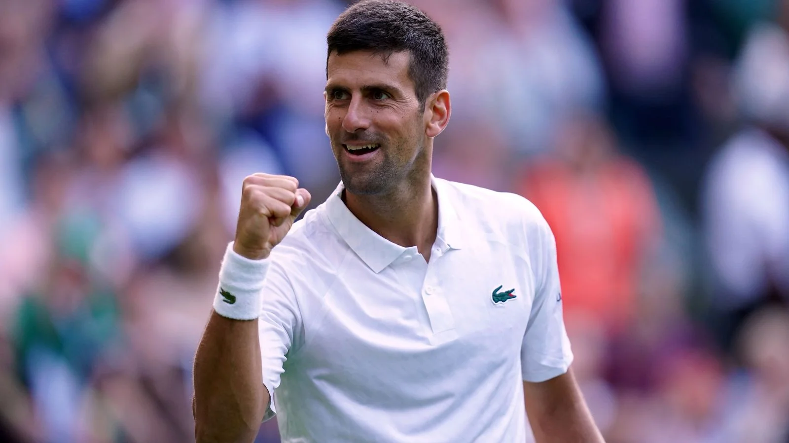 "Nobody Wants Novak..." - Sania Mirza Warns Australian Open 2025 Contenders