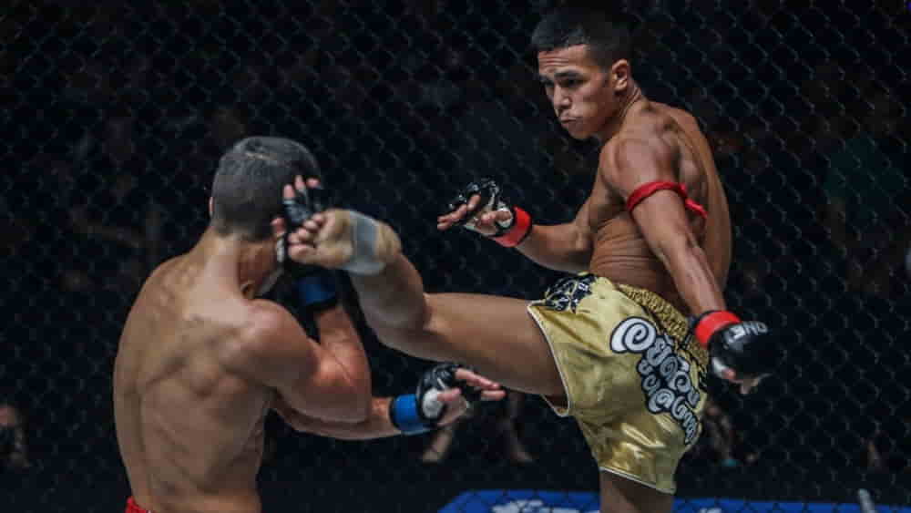 7 Powerful Kicks To Master For MMA