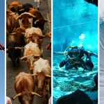 Risking It All: The 4 Most Hazardous Sports On The Planet