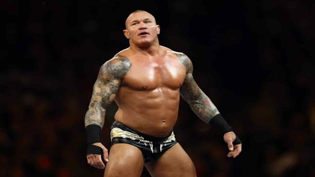 Top 4 WWE Superstars Who Were Attacked By Fans