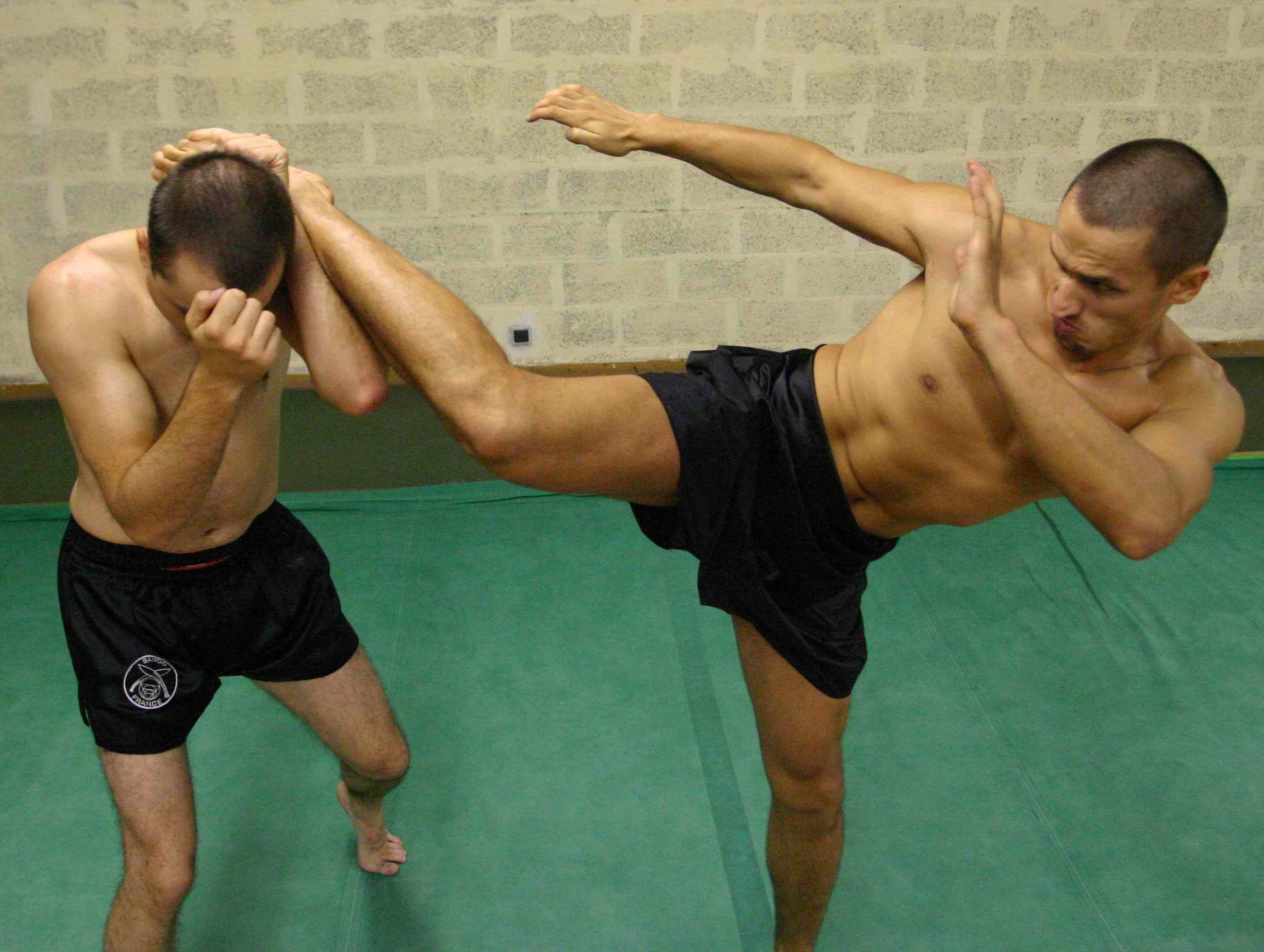 10 Essential Mixed Martial Arts Moves You Must Learn As A Beginner