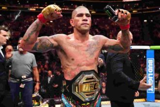 Alex Pereira: Know How To Land A Lead Left Hook For Knockout