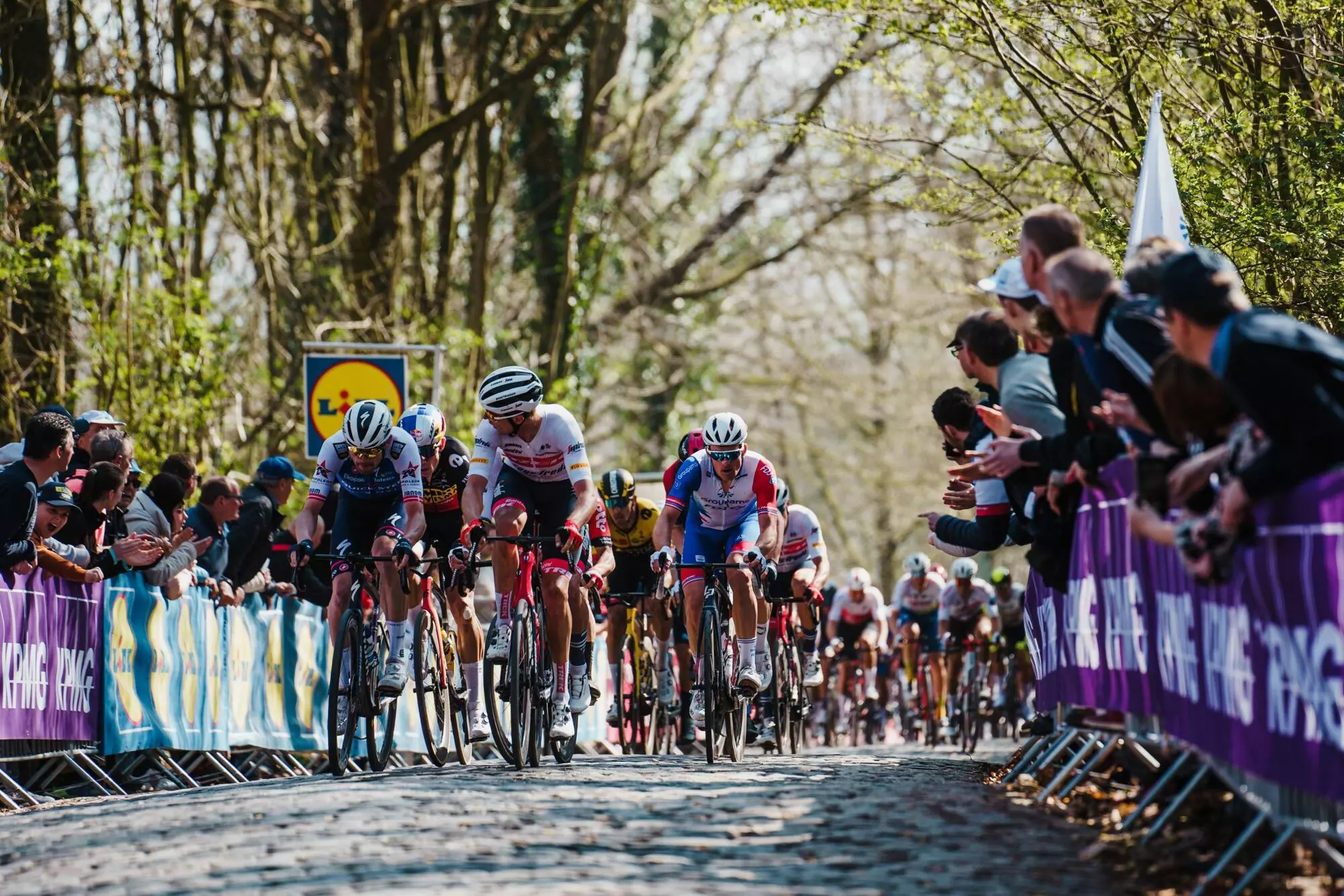 Gent-Wevelgem 2025: Riders To Watch Ft. Tadej Pogacar; Check Route Details, Start Time, Where To Watch