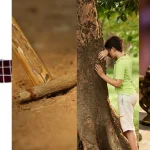 Timeless Classics: India's Top 4 Traditional Games